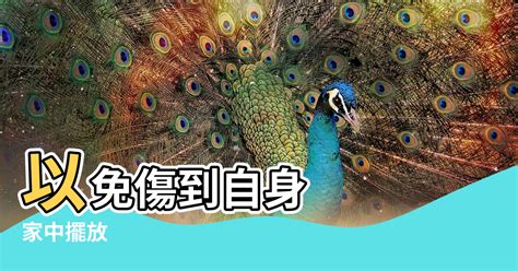 養鳥 風水|【家裡擺鳥風水】以免傷到自身 